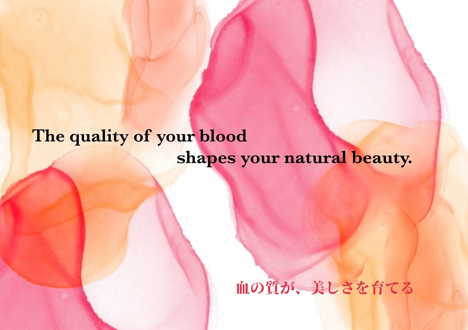 The quality of your blood shapes your natural beauty. 血の質が、美しさを育てる