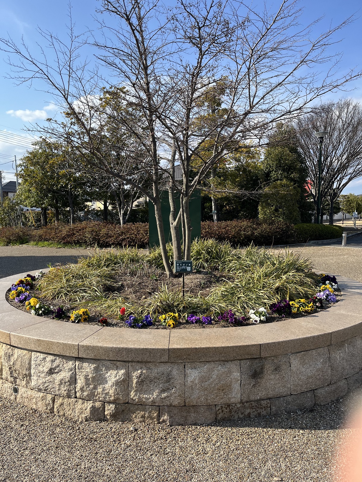 西大寺緑花公園広場