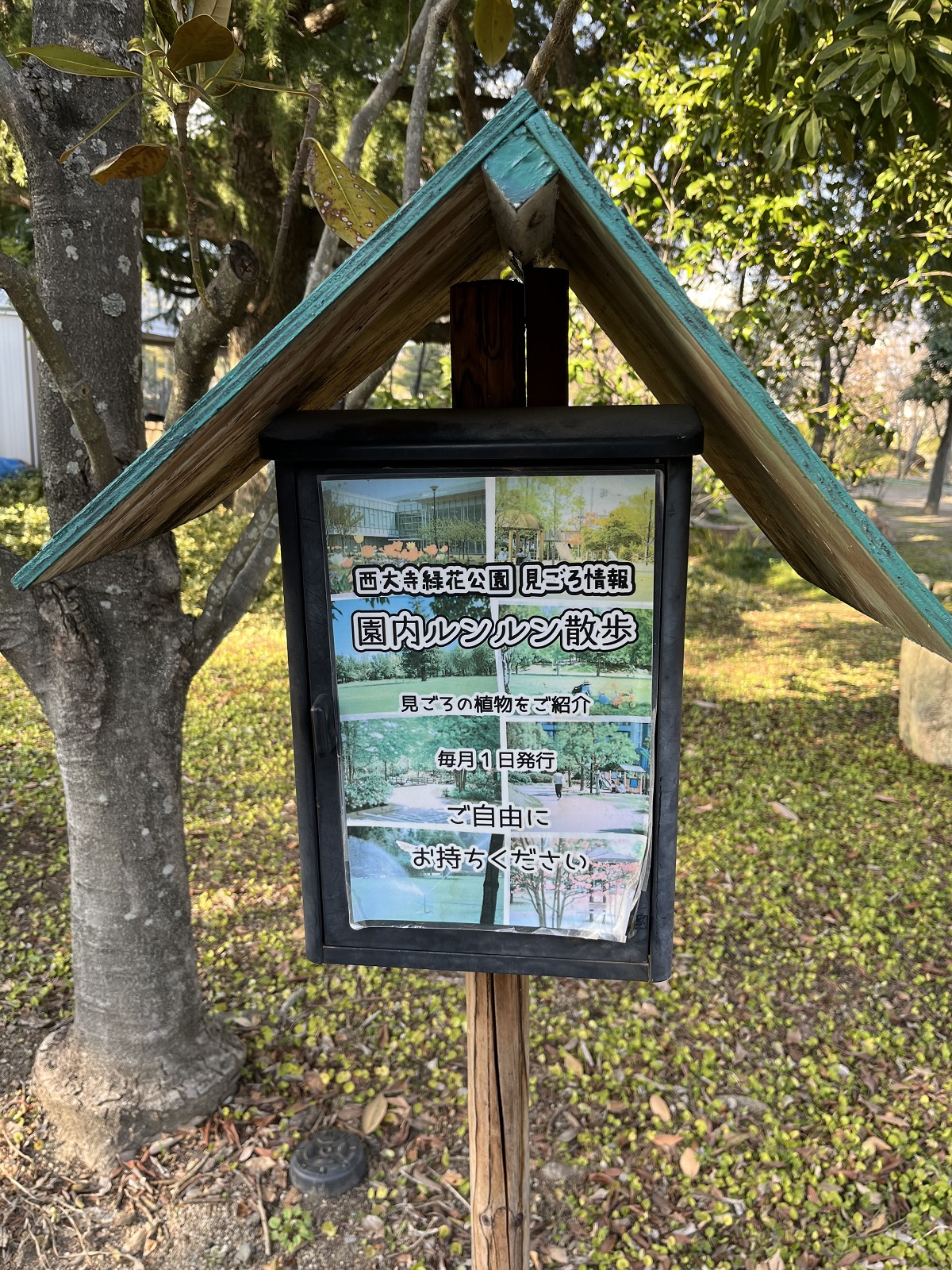 園内ルンルン散歩