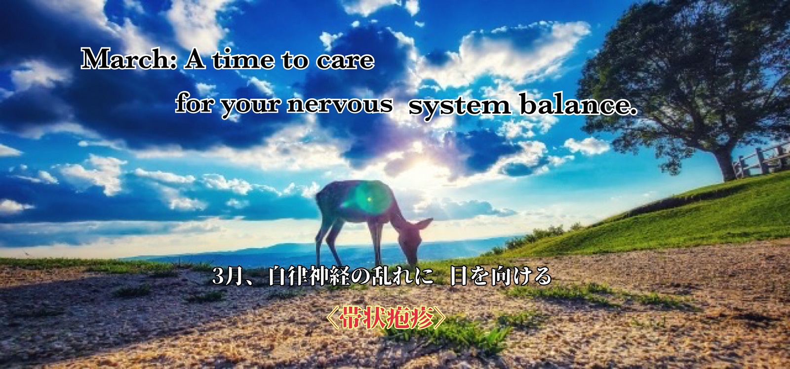 March: A time to care for your nervous system balance. 3月、自律神経の乱れに目を向ける(帯状疱疹)