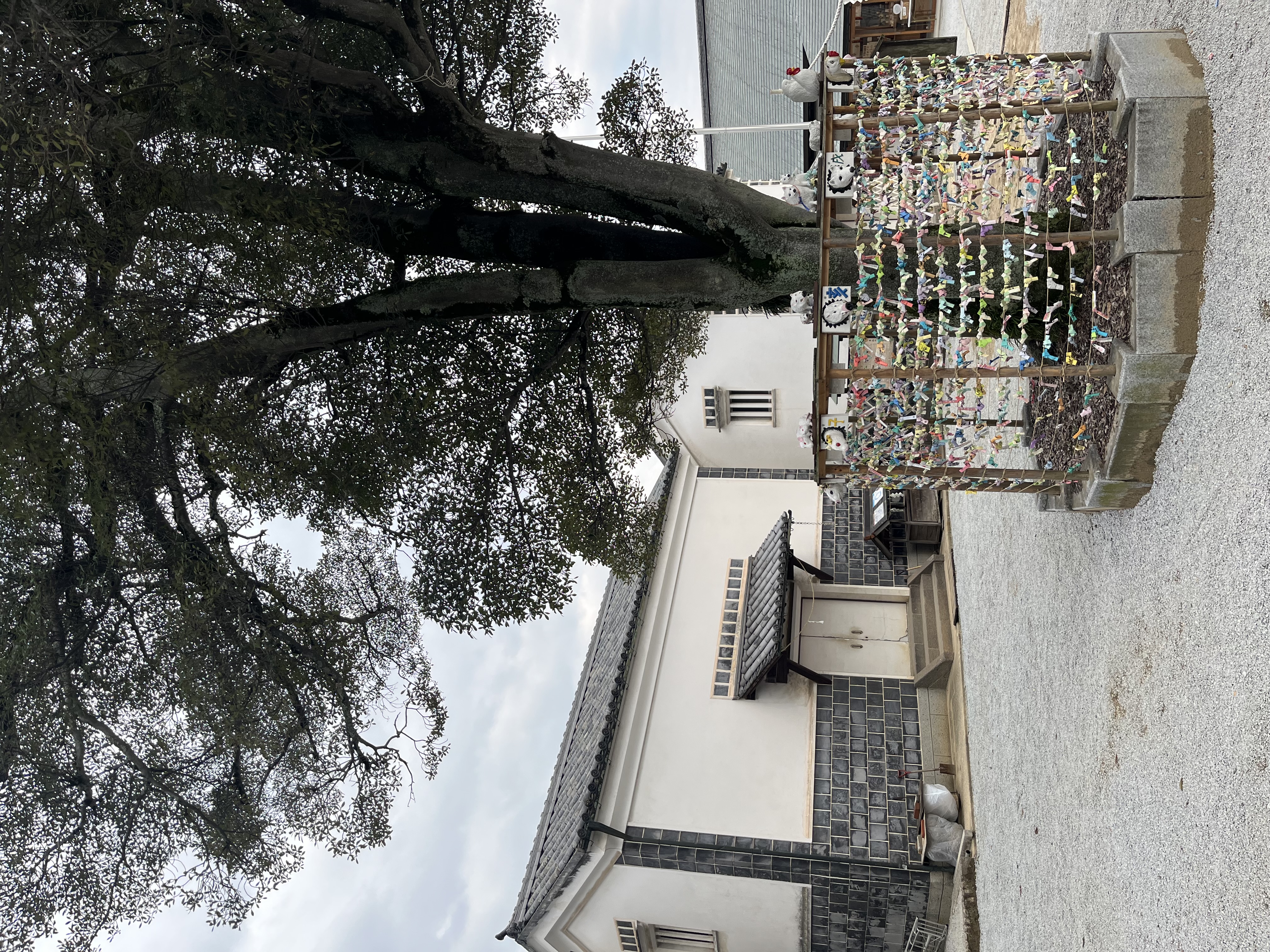 阿智神社のおみくじ