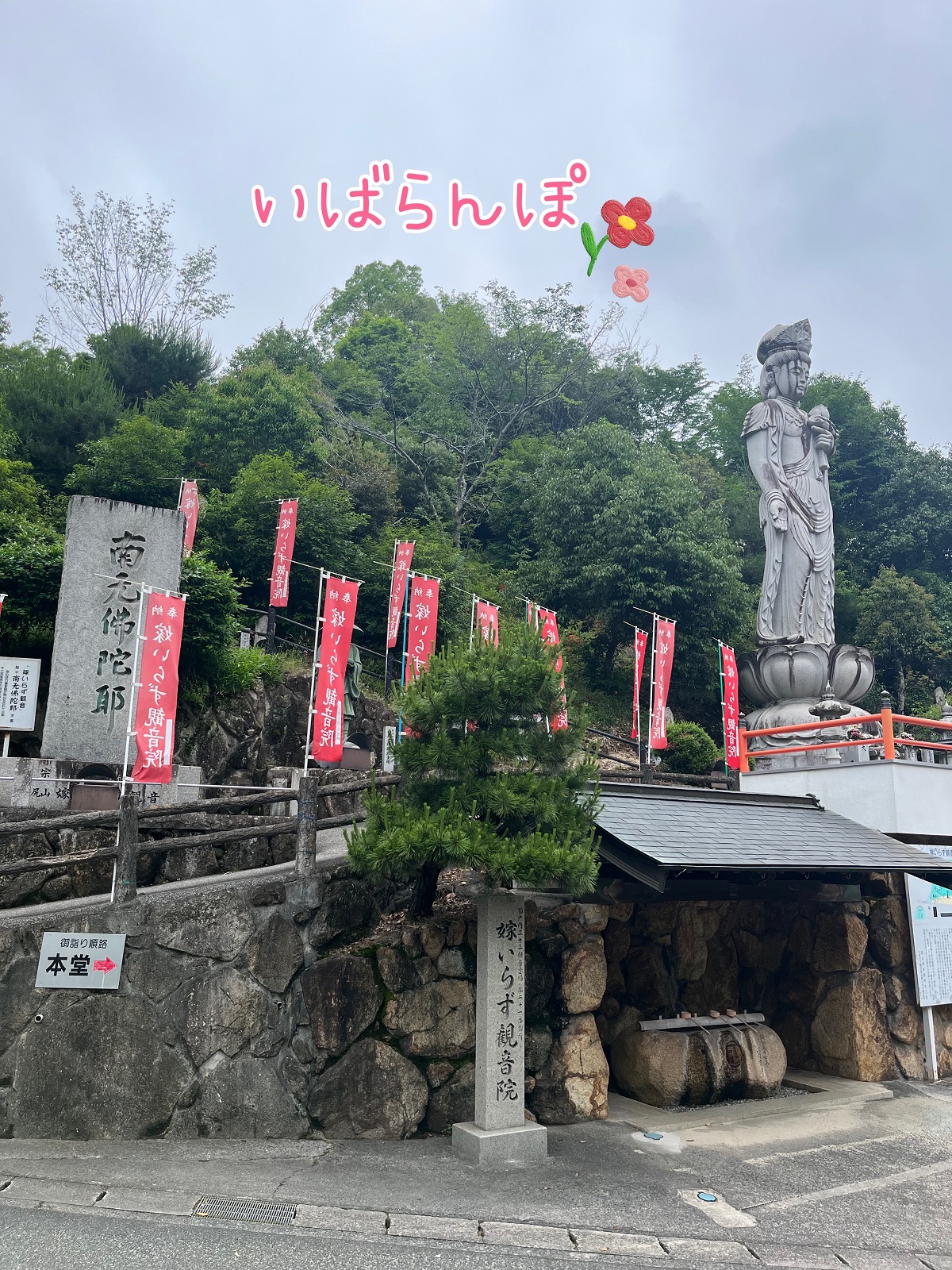 いばらんぽ