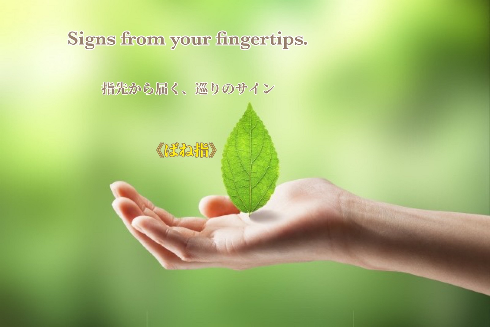 指先から届く、巡りのサイン Signs from your fingertips.
