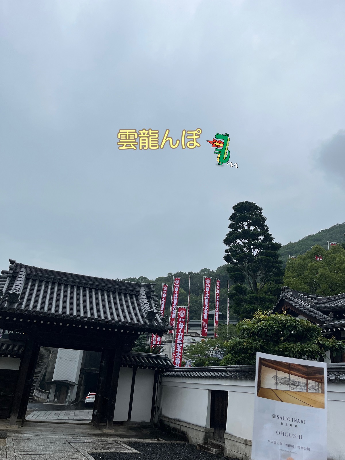 雲龍んぽ