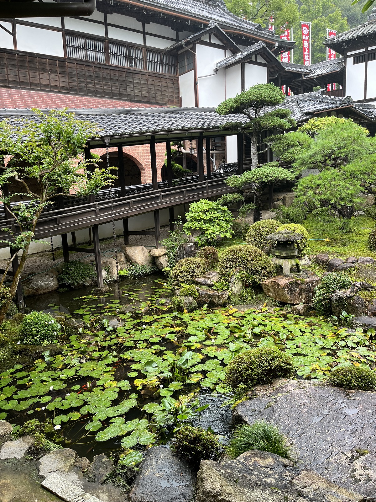鯉が泳ぐ庭園